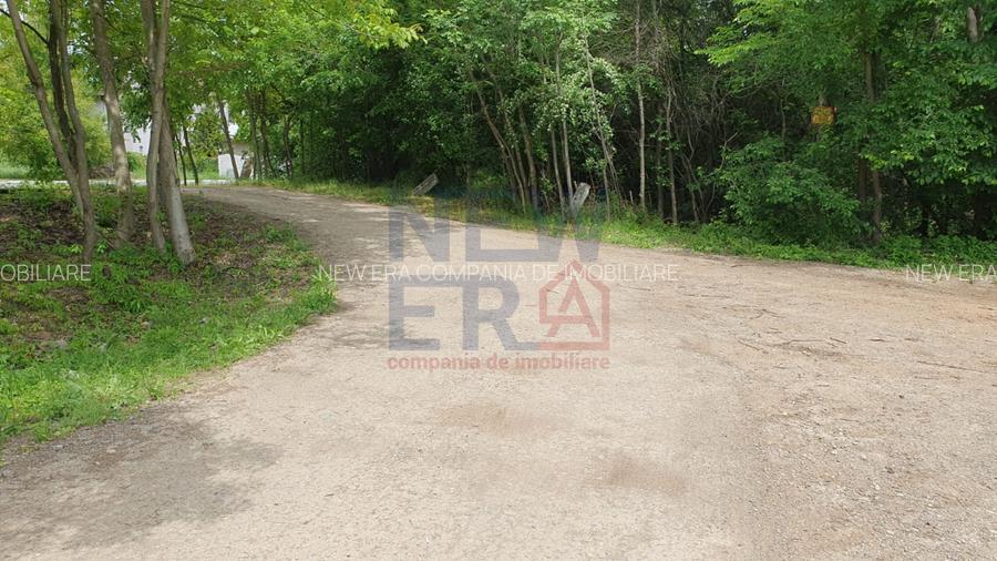 De vanzare 2.770mp teren intravilan Snagov - 4