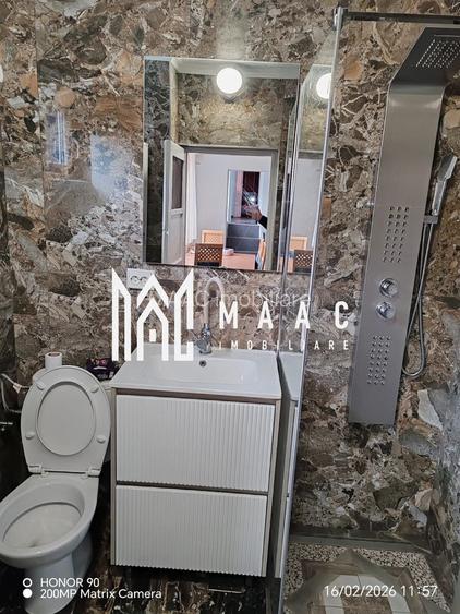 Exceptional - Casa verde de închiriat în Săliște Jud Sibiu - 12