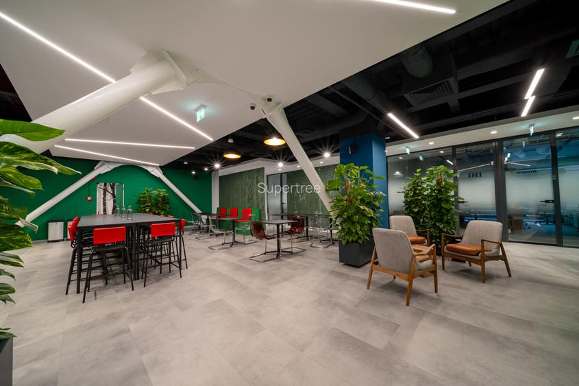 Birou privat premium (până 6 persoane, cu lumină naturală, la Supertree Pipera) - 8