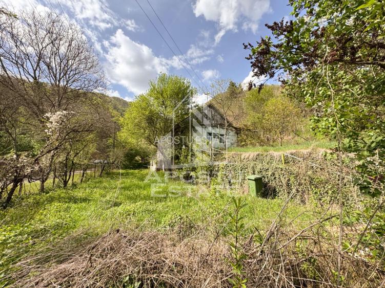 Casa batraneasca cu 2 camere, vedere panoramica, in Toplita, Hunedoara - 10