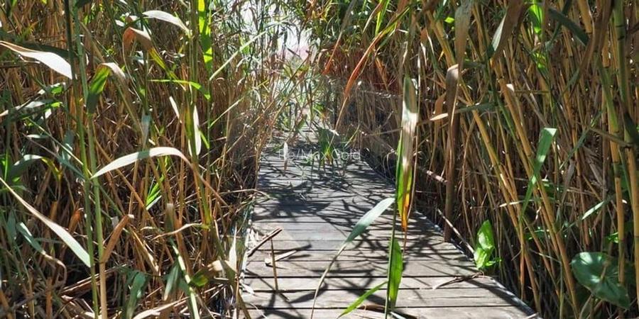 Vila la Lacul Snagov deschidere 21 ml,  ponton propriu - 13