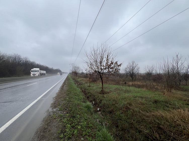 Teren la DN7 - ideal investitie (Benzinarie, spalatorie, hala, rezidential) - 2