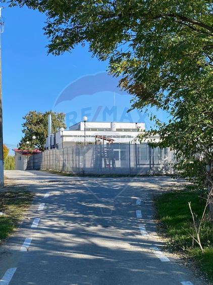 Teren 2,500mp Malu Mare / Strada Bisericii - 4