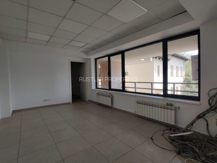 Spatiu de retail cu multiple functiuni in zona Titulescu - Banu Manta - 11