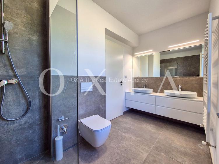 AX1068 Dumbravita, Bulevardul Petre Tutea, Prima Inchiriere - 17