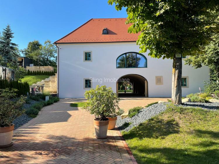 SPATIU DE INCHIRIAT,ZONA ULTRACENTRALA - 9