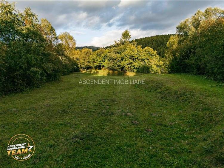 FILM! Teren extravilan, Ojdula, 4.800 mp, zona pitoreasca - 6