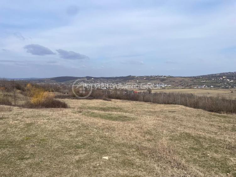 Teren intravilan 11.300mp, Barnova, cu acces auto si front stradal - 4