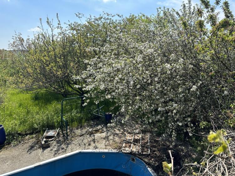 Casa-langa studiourile Buftea, 2 constructii, curte cu pomi, 2300mp, langa lac - 40