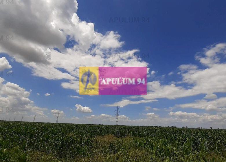 Teren 715mp în Snagov lângă Equestria - 26