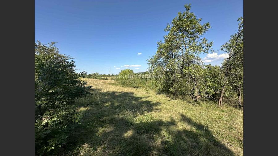 Vânzare teren Reșița: 17260 mp, Calea Caransebeșului
 - 4