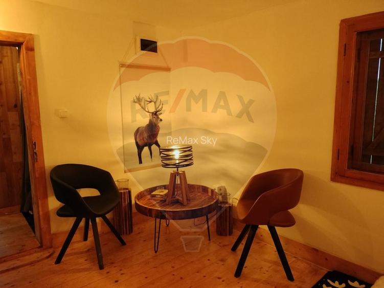 Casă de vacanță deosebită cu ciubăr si saună - natura si relaxare - 11