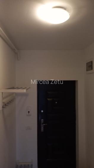 Garoniera 41 mp cu centrala , balcon  - 3