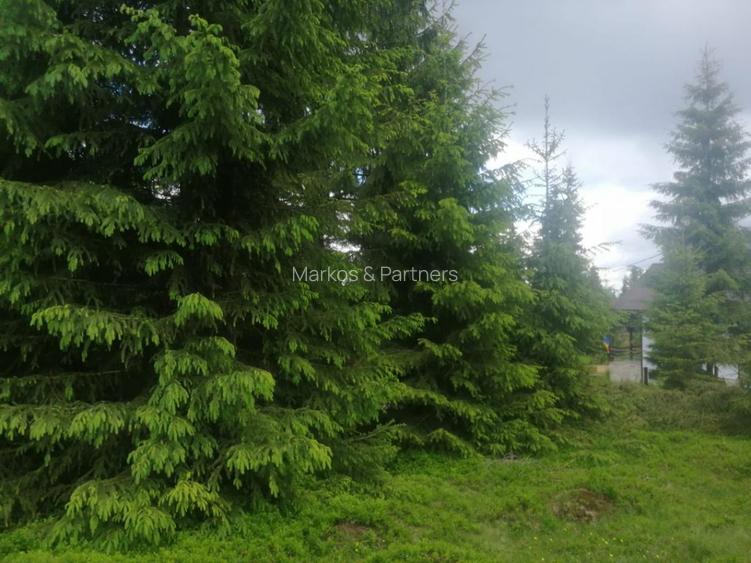 Teren de vanzare Belis1300mp Strada principala Intravilan - 3