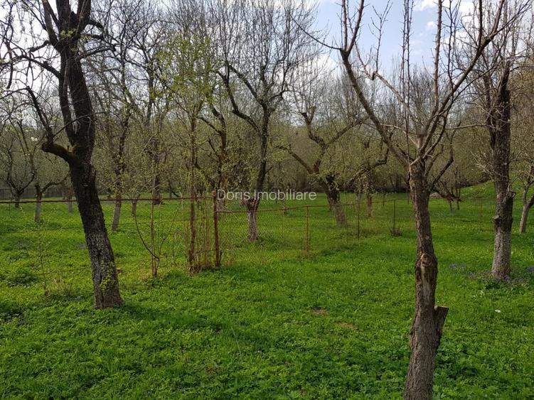 Vanzare casa Fieni - Runcu - 7