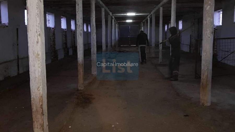Ferma langa Oravita 5600 mp construiti si teren 24281 intravilan - 6