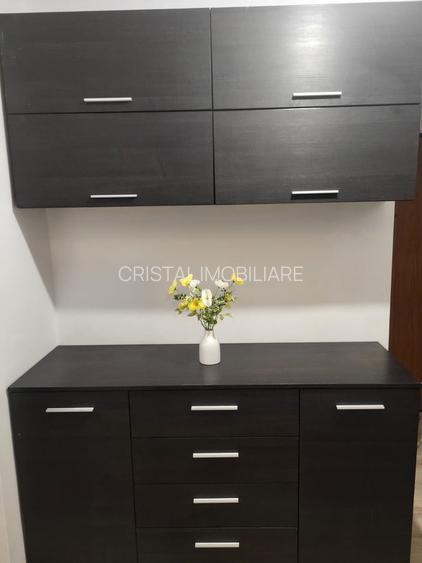 Apartament 2 camere de închiriat Brâncoveanu - 7