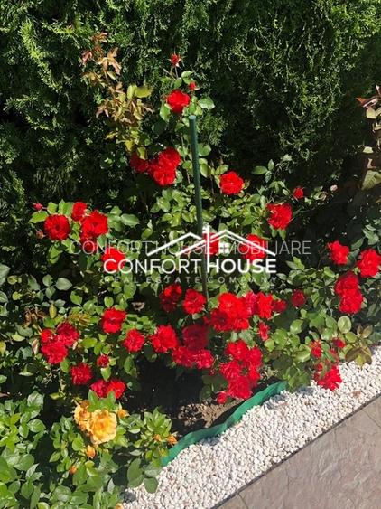 Vila cu arhitectura moderna,  piscina, cartier rezidential, IANCU NICOLAE - 6