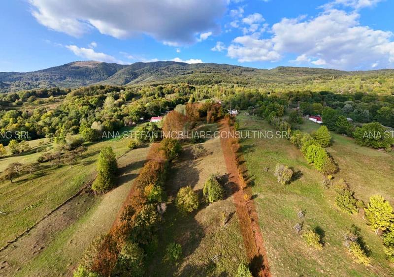 Teren intravilan+extravilan / Corbeni-Arges - 2