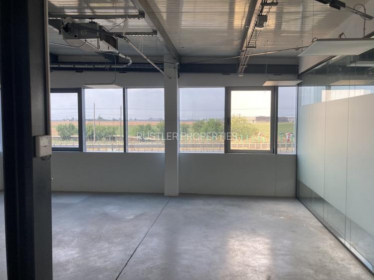 Hala de inchiriat Bucuresti-Popesti Leordeni - 11