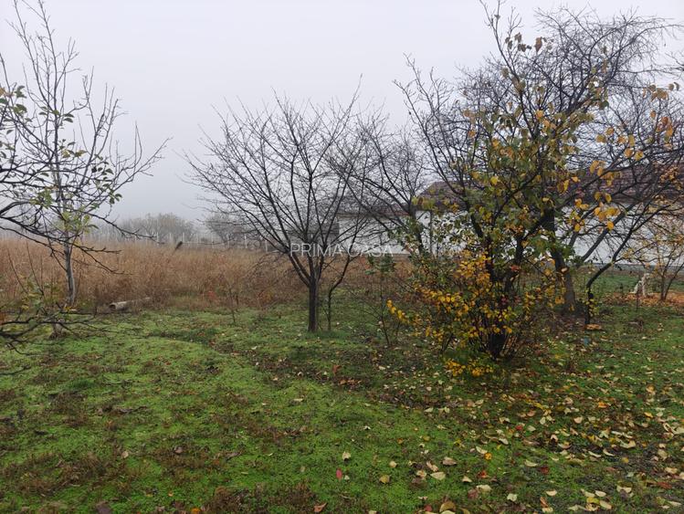 Teren intravilan 12.511 mp | Potoceni – Mărăcineni | Ideal pentru dezvoltare rez - 6