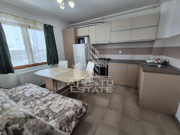 Apartament cu o camera,Torontalului - 4