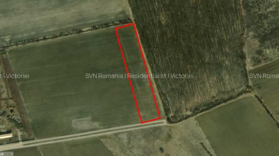 REL4000892 Corbeana - Ostratu 15200 mp langa padure - 7