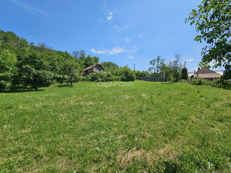 Teren de Vanzare in Plopu - Darmanesti, cu toate utilitatile - 4