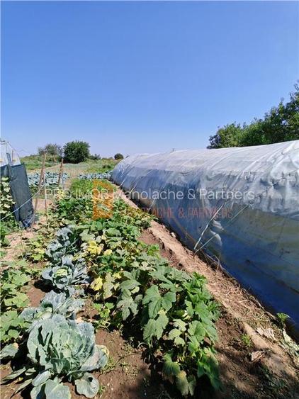 Casa tip parter si teren 1750 mp in zona Transilvaniei - 18