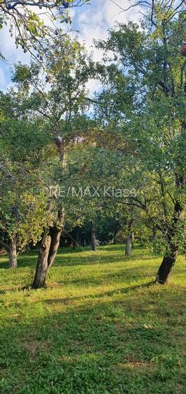 Teren 4,972mp Bertea / Strada Matraguni - 9