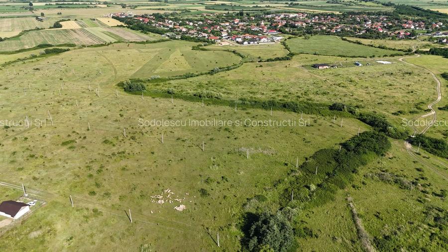 Terenuri zona  MOSNITA NOUA -  ALBINA . - 32