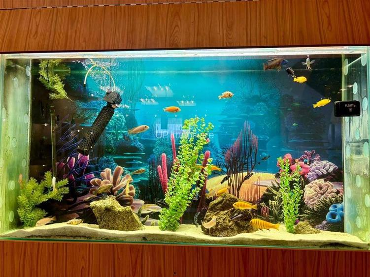 VILA CU 3 CAMERE, CENTRAL - 6