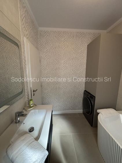 Lux și calitate în Mosnita Noua - 21