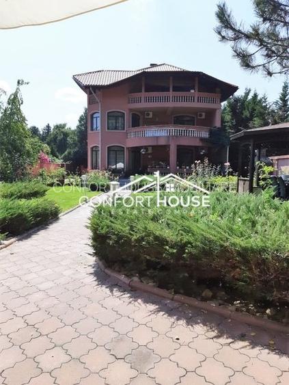 VILA D+P+E+M, 12 camere, piscina , padure, IANCU NICOLAE - 49