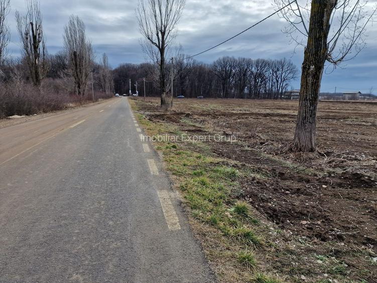 Ciolpani adiacent  DN1  teren  12800 mp  parcelabil  toate utilitatile - 4