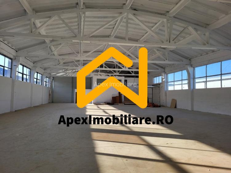 Hala Industriala Xenia – 1800 mp, Acces TIR, Parcare 50 Auto - 14