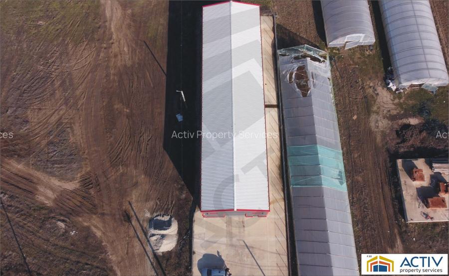 Hala de inchiriat - comuna Berceni - 2