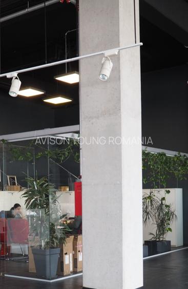 HALĂ CU RAFTURI INCLUSE ȘI 4 RAMPE TIR – BRAGADIRU, INCITY - 12