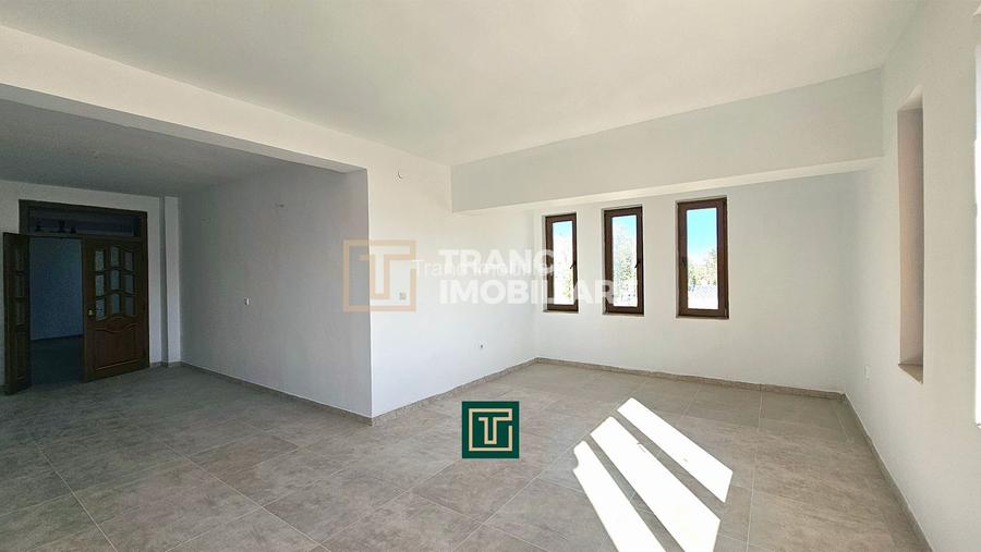 Proprietate multifunctionala - teren generos, cladire si hala in Lugoj - 11