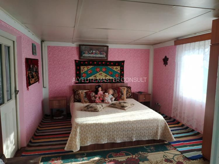 Casa de vanzare Albesti Vaslui - 7