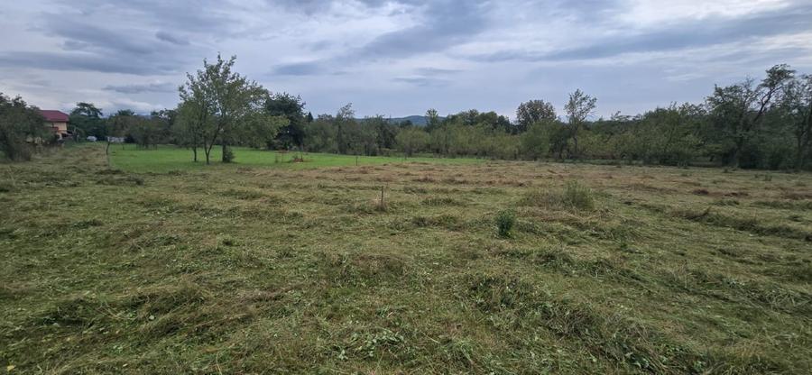Teren intravilan pentru constructie rezidentiala