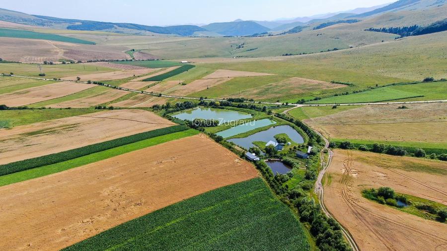Proprietate spectaculoasă de 31.500 mp, cu iazuri și case locuibile - 2