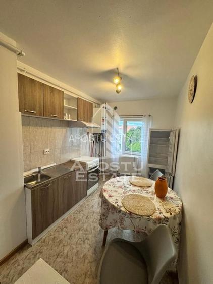 Apartament cu 2 camere, de inchiriat, Take Ionescu, Timisoara - 4