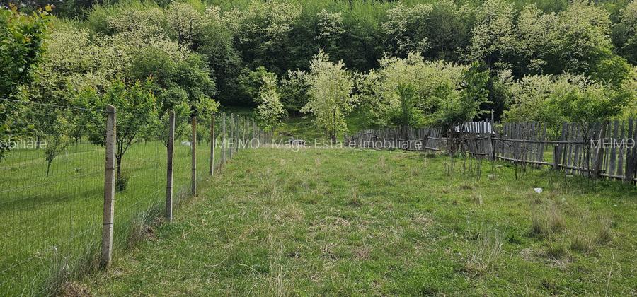  Casa de vanzare si fabrica de paine, zona Darmanesti!  - 17