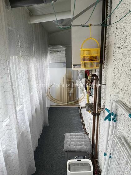 Apartament cu 4 camere,  parter  în zona  Lipovei - 8