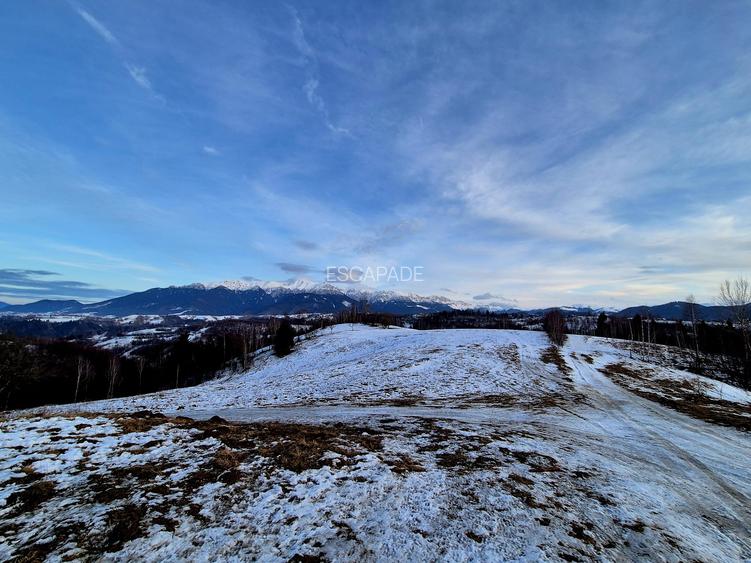 Teren cu priveliste deosebita /muntii Bucegi,in sat Pestera/Moeciu zona La Odai - 9