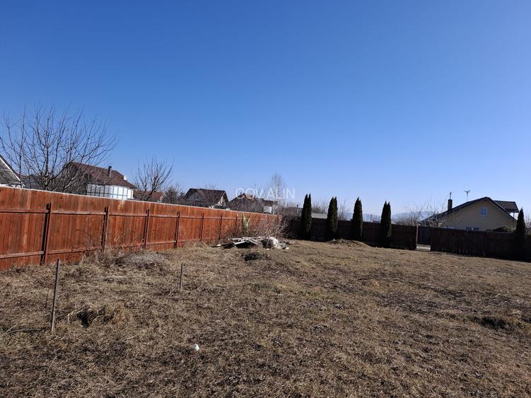 Teren 500 mp situat in strada Nicolae Balcescu - localitatea Harman! - 4