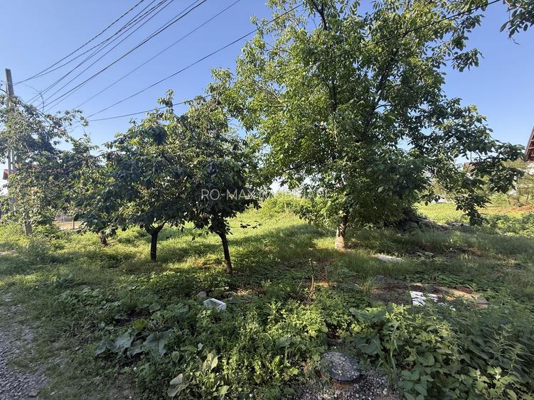 Casă renovanila lângă pădure 91 mp + teren 500 mp cu toate utilitățile - 17