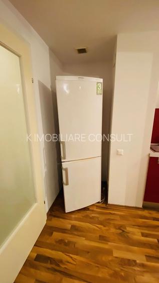 Lacul Tei - Inginerilor - 12