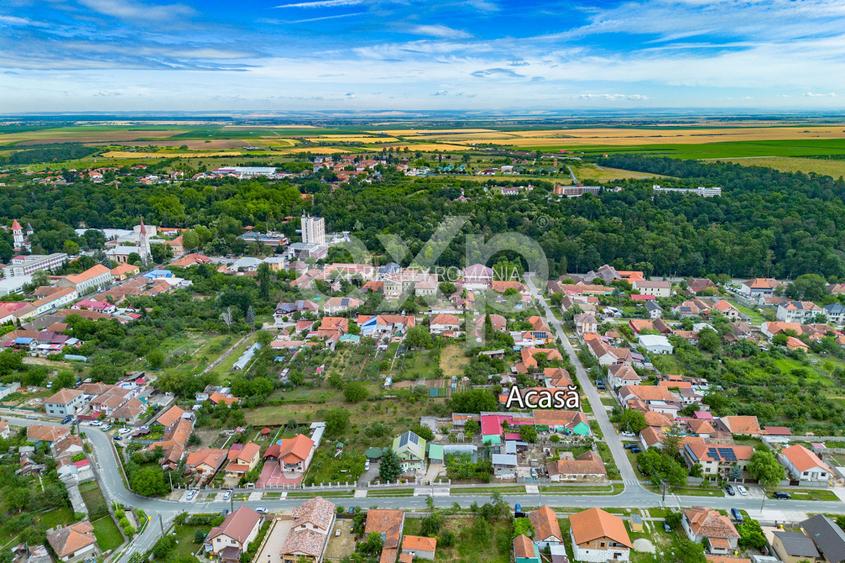 Casă spațioasă cu livadă în Buziaș - 18